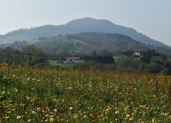 LORAKETA - FLORACIÓN