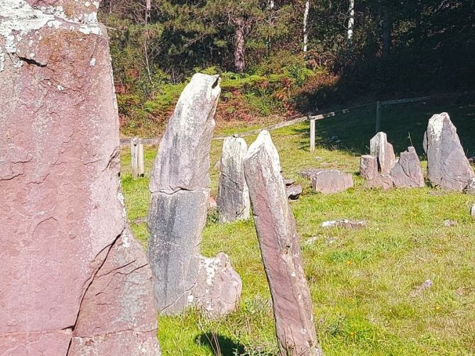 Muliskogaina: foto en Urnieta