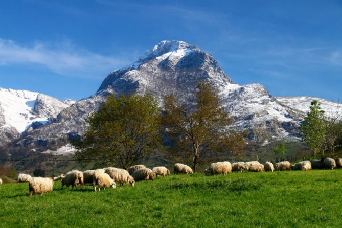 NEGUKOLORE: foto en Abaltzisketa