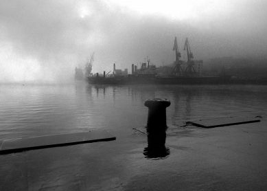 niebla en la bahia