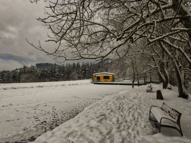 NIEVE : foto en Elgeta