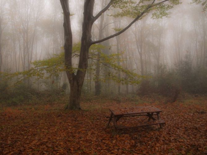 Oiangu: foto en Ordizia