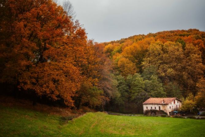 Olaberria udazken koloreekin: foto en Irun