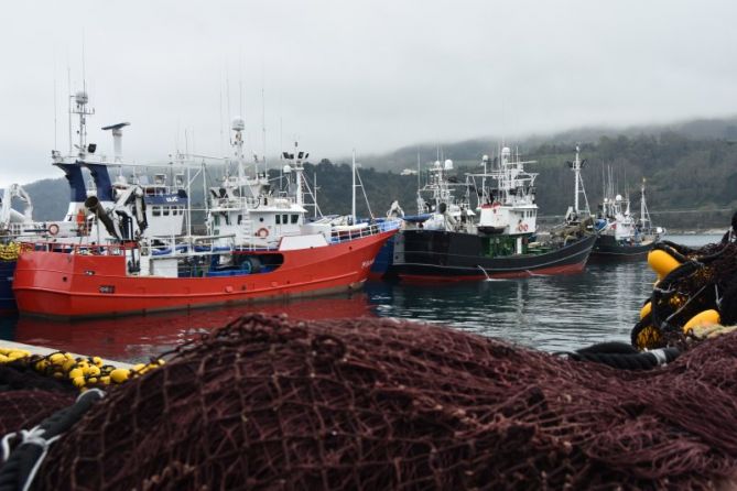 PORTUAN - EN EL PUERTO: foto en Getaria