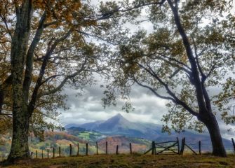 POSTAL DESDE EL GOIERRI