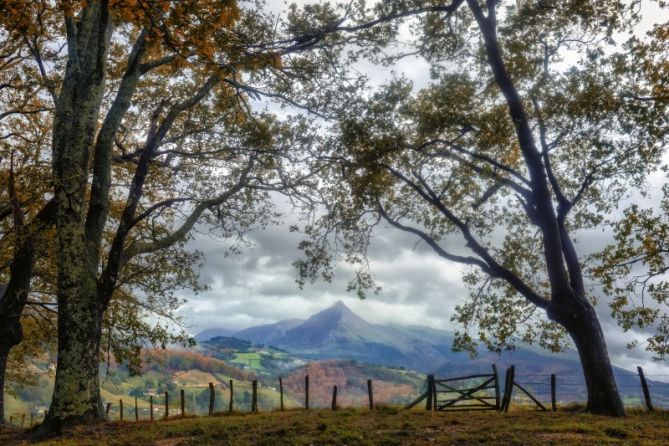 POSTAL DESDE EL GOIERRI: foto en Zaldibia