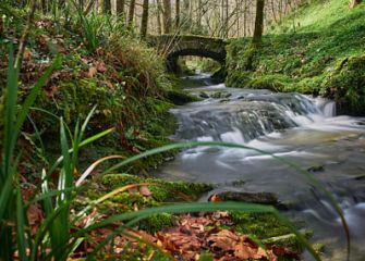 puente de piedra