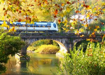 El puente con el tren