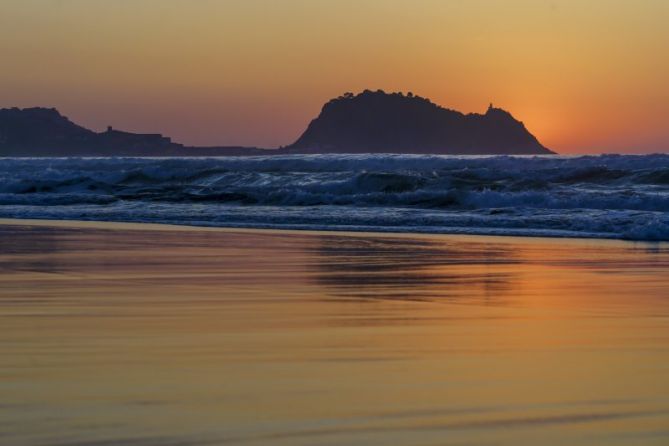 RATON SOBRE AGUA: foto en Getaria