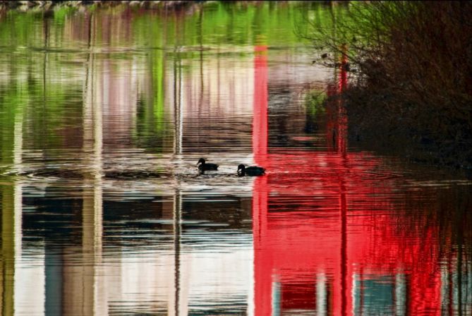 REFLEJOS: foto en Soraluze-Placencia de las Armas