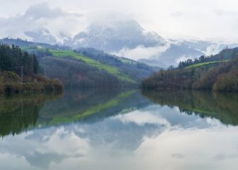 REFLEJOS