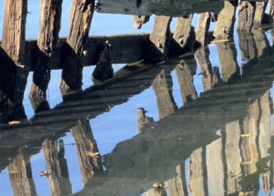 Reflejos