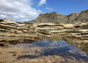 Reflejos del Flysch