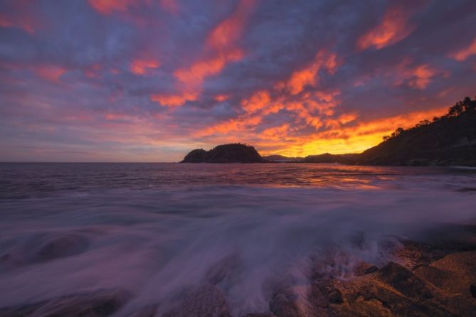 Regalos de la naturaleza: foto en Getaria