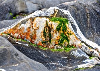 Rocas de Flysh negro de Mutriku 