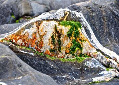 Rocas de Flysh negro de Mutriku 