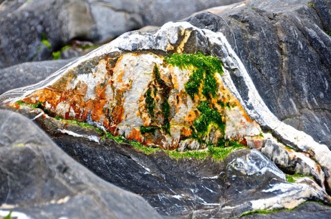 Rocas de Flysh negro de Mutriku : foto en Mutriku