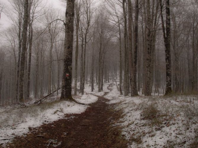 Saratsamendi: foto en Ataun