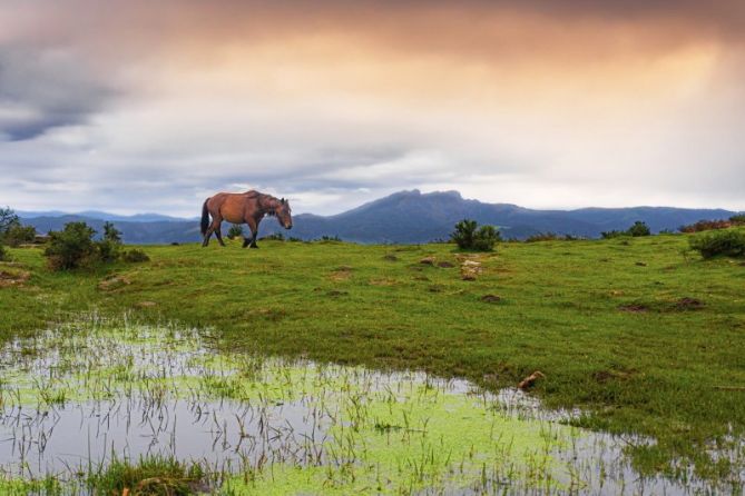 Secretos de la montaña: foto en Hondarribia