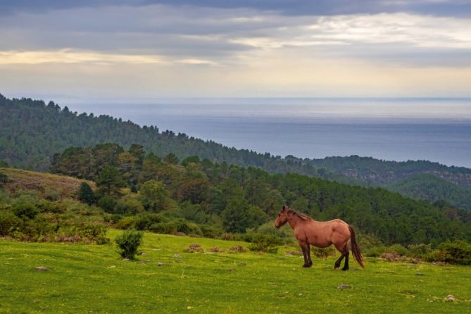 En soledad: foto en Hondarribia