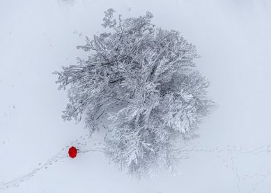 EL SOLITARIO