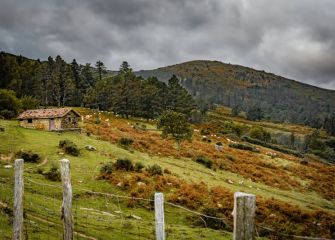 Tarde de otoño