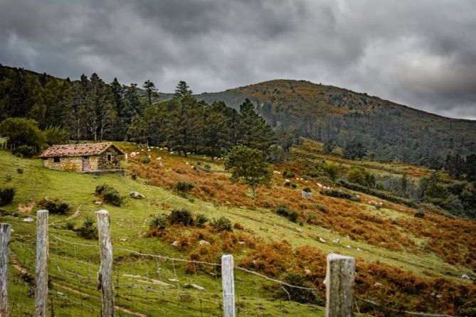 Tarde de otoño: foto en Hondarribia