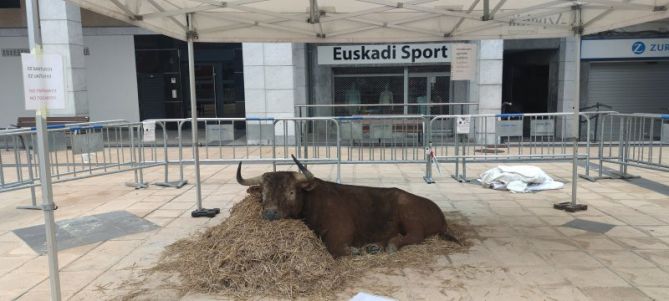 Toro de arena: foto en Azpeitia