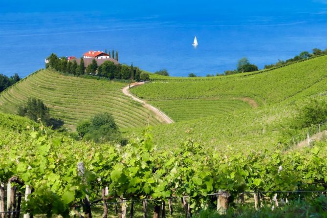 LA TOSCANA VASCA: foto en Getaria