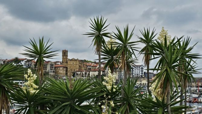 A través de un marco natural: foto en Getaria