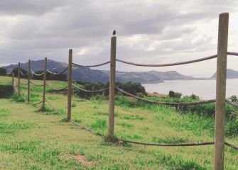 Txoria Zarautzera begira