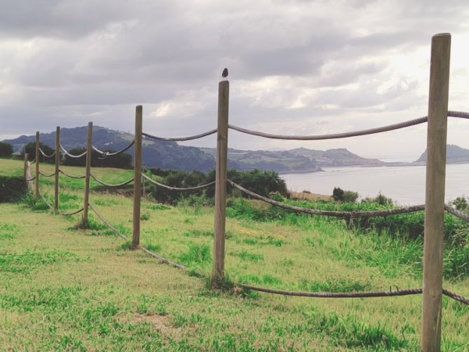 Txoria Zarautzera begira: foto en Zarautz