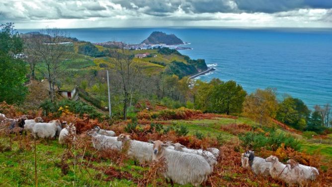 Udazken koloretan : foto en Zarautz