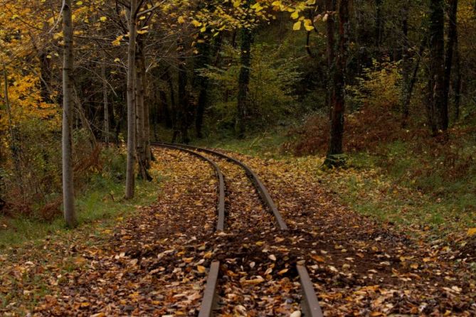 UDAZKENA ETORRI DA, TA BADIJOA!!!!: foto en Zerain