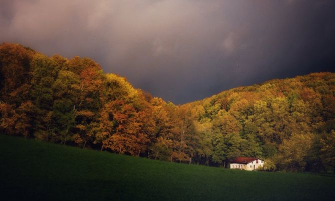 Udazkena Irunen: foto en Irun