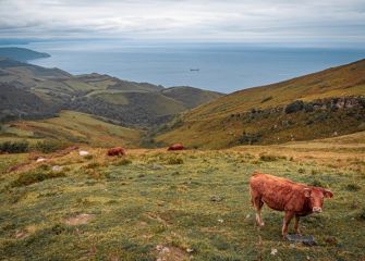 Vista al mar