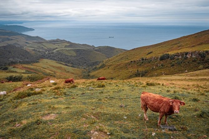 Vista al mar: foto en Hondarribia