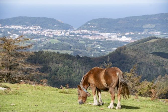 Vistas inmejorables: foto en Oiartzun