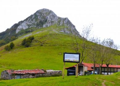 Zelatundik Erniora