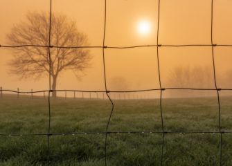 AMANECER EN OTOÑO 
