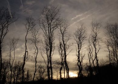 Bailando al atardecer