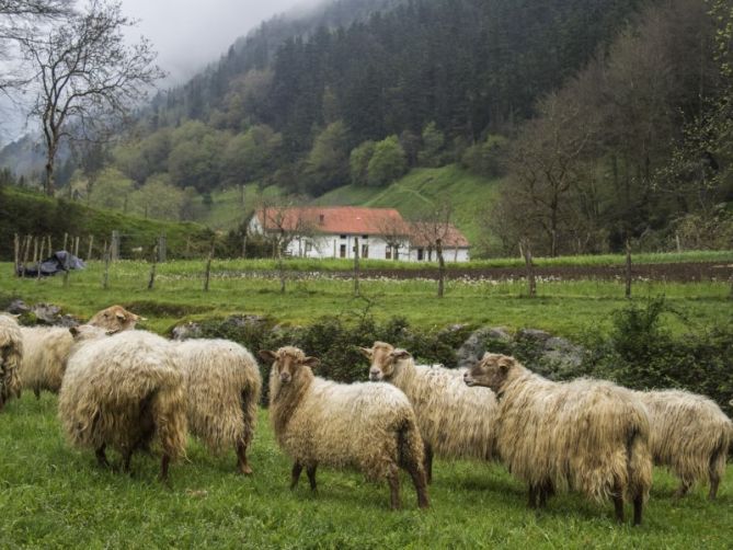 baserri: foto en Mendaro