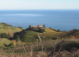 Bodega de txakoli 
