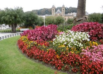 contenido de colores