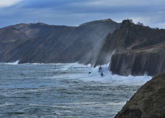 DENBORALEA - TEMPORAL