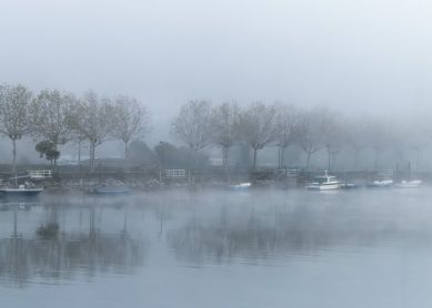 Dia de Niebla