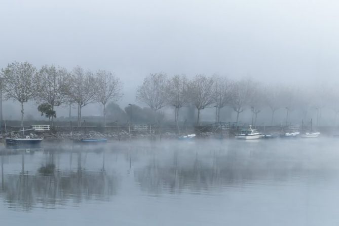 Dias de Niebla: foto en Orio
