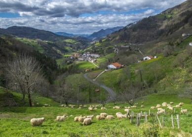 Esplendor en la hierba