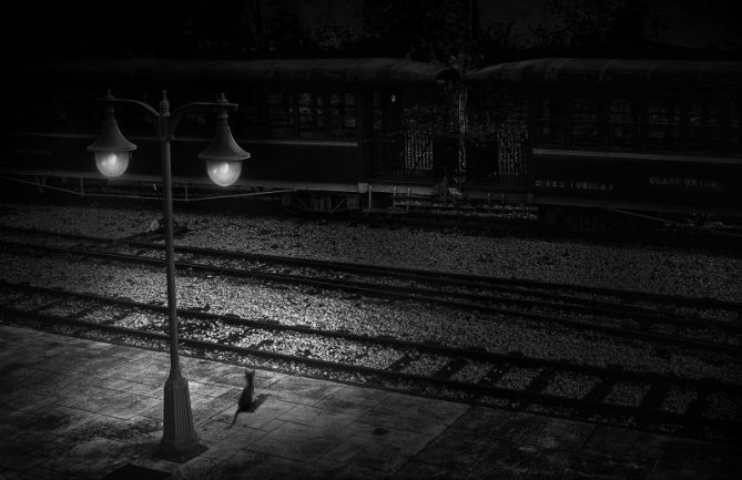 LA ESTACION: foto en Azpeitia