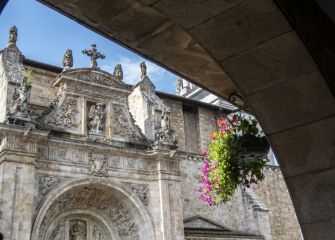 Flores colgantes